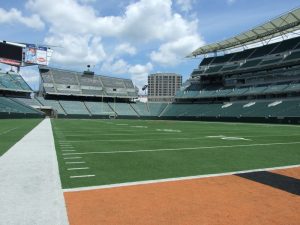 Bengals field