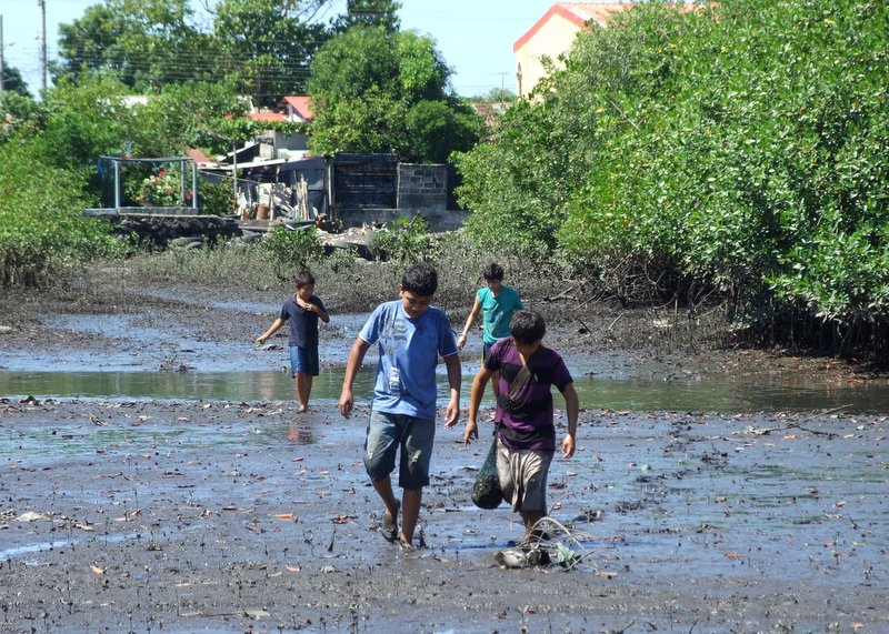 The boys coming back after several hours of working - you can tell it was a bad day because Alvin only has half a bag of mussels for the four of them