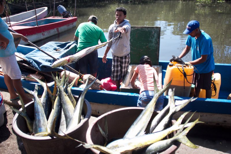 The fishing boats coming in where the mom from our home visit works - she can gut up to 250 pounds of fish by herself in a day