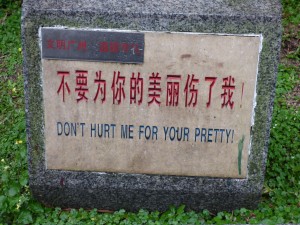 Sometimes even when the signs are translated it’s not much of a help