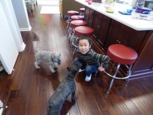 Noah asked me to take this picture with the dogs as soon as he felt confident enough to get down with them